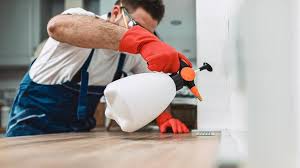 Best Termite Inspection and Treatment  in Ovid, MI